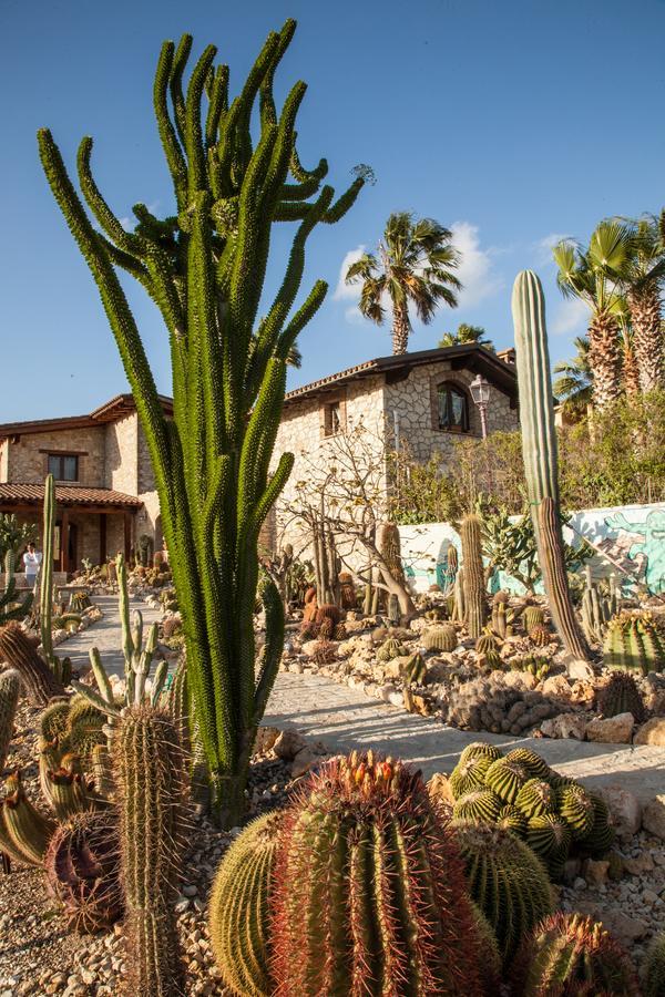 Pensjonat Garden Cactus Villaggio Mosè Zewnętrze zdjęcie